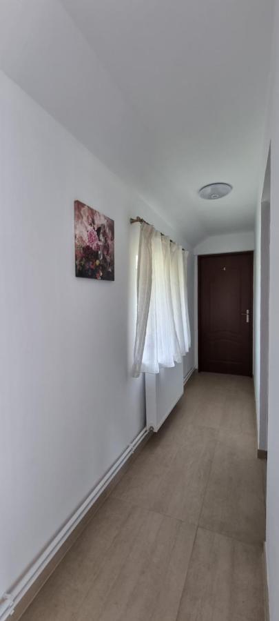Cusali Pensiune Topolovatu Mare Exterior foto